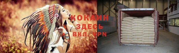 прущий лед Каменка