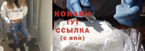 прущий лед Каменка