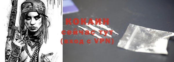 бошки Каменногорск