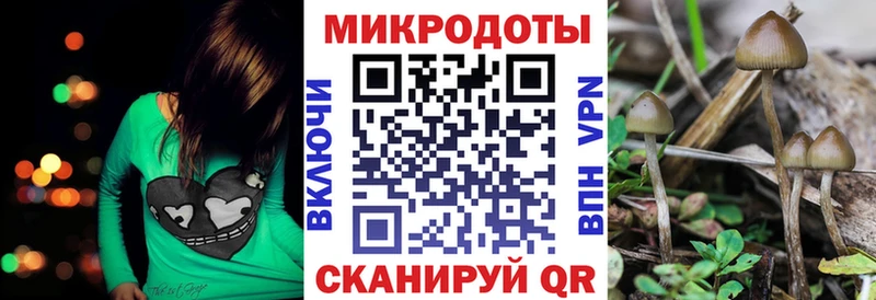 купить  цена  Магас  мега ТОР  Галлюциногенные грибы Psilocybe 